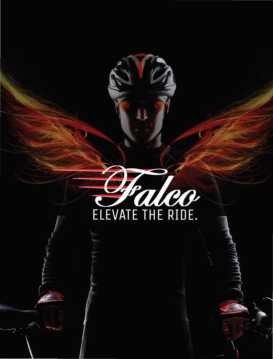 Catalog Falco eMotors Inc.