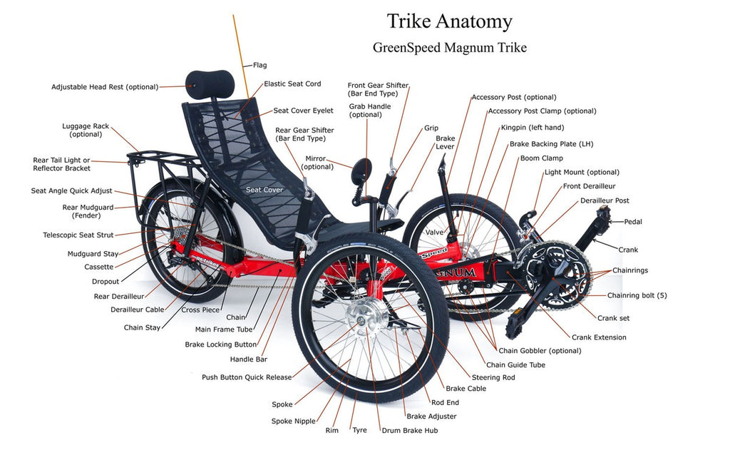 WHAT IS A RECUMBENT TRIKE?