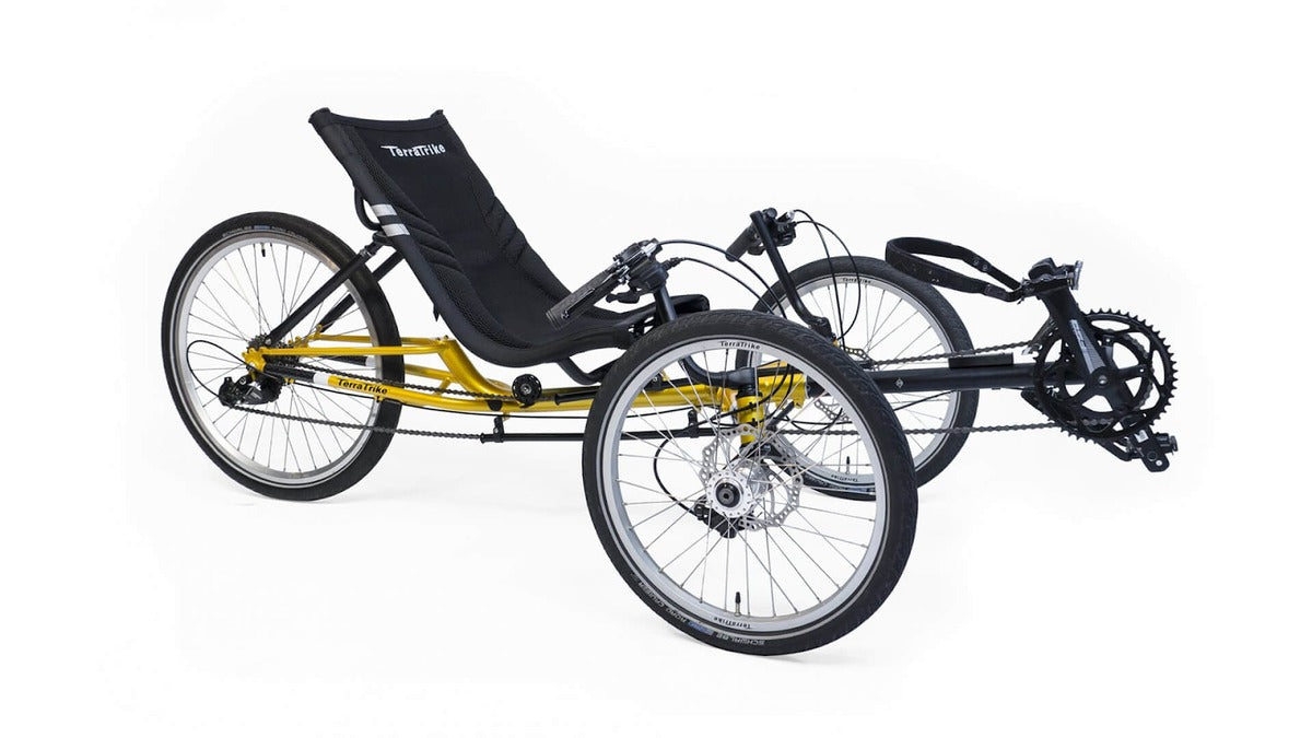 WHY RECUMBENT TRIKE?
