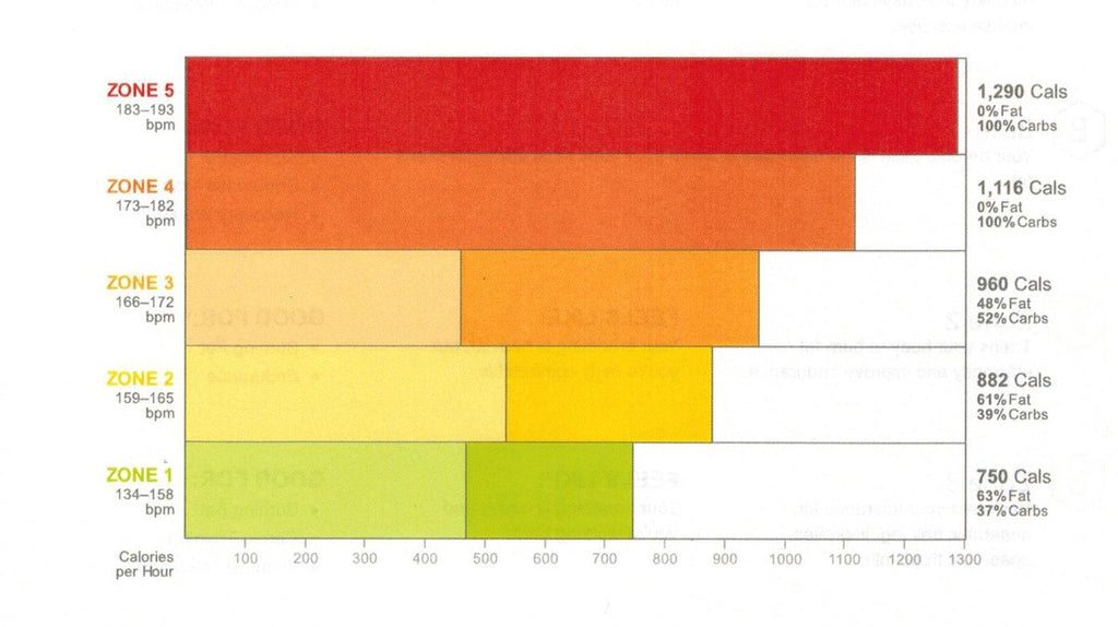 ELECTRIC ASSIST AND METABOLIC ASSESSMENT