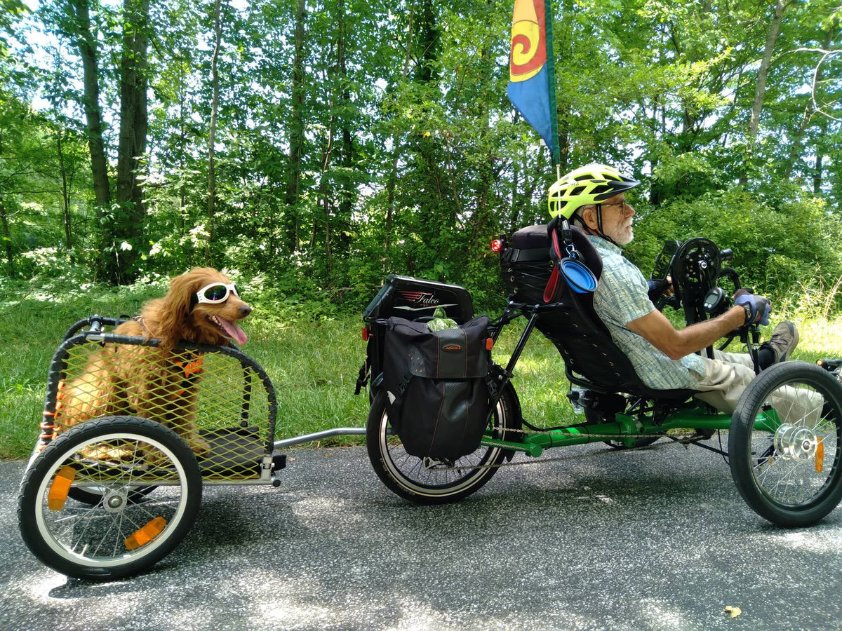 Catrike with Falco motor pulling a dog trailer