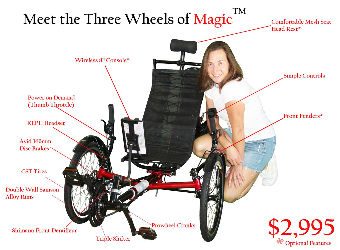 Electric Trike Recumbent Trike Parts Terra Trike Parts Electric