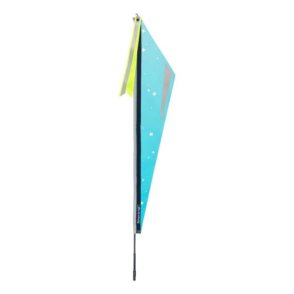 Starry Flag